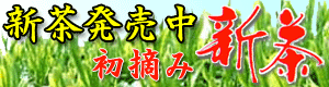 新茶発売中