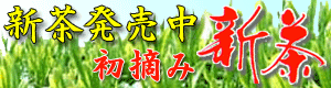 新茶販売中