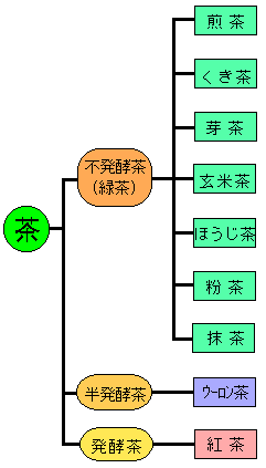 お茶の分類