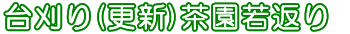  台刈り(更新)茶園若返り