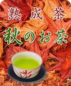 熱中症予防に水出し煎茶