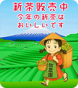 産直市場よってって | 新鮮・安心・安価な地場産品をお届け