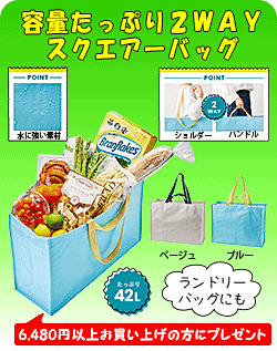 当店前の茶園写真