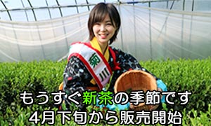 新茶予約始めました