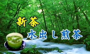 新茶で水出し煎茶出来ました